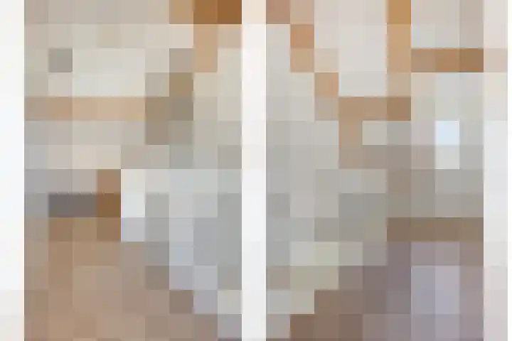 Hoenderhei 49 Best thumbnail 23