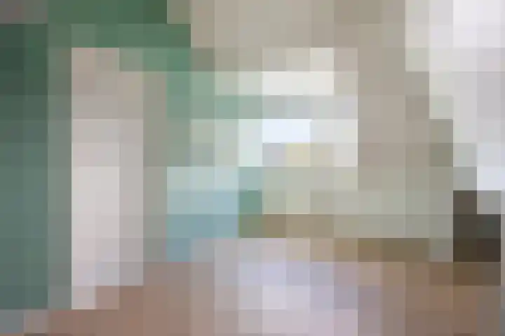 Hoenderhei 49 Best thumbnail 25