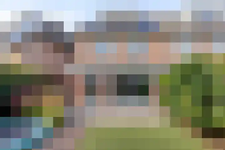 Hoenderhei 49 Best thumbnail 27