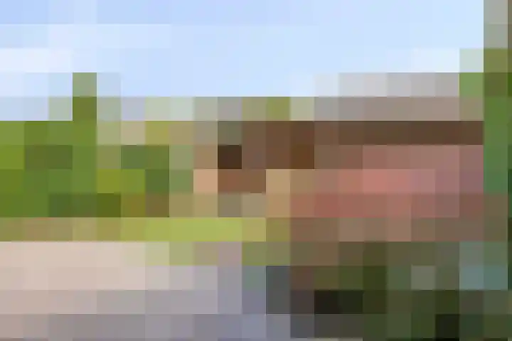 Hoenderhei 49 Best thumbnail 28