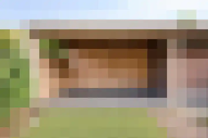 Hoenderhei 49 Best thumbnail 29