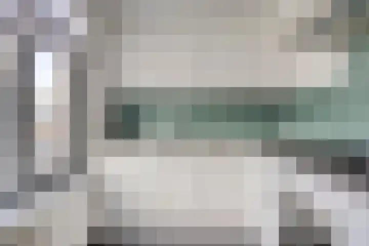 Hoenderhei 49 Best foto 3
