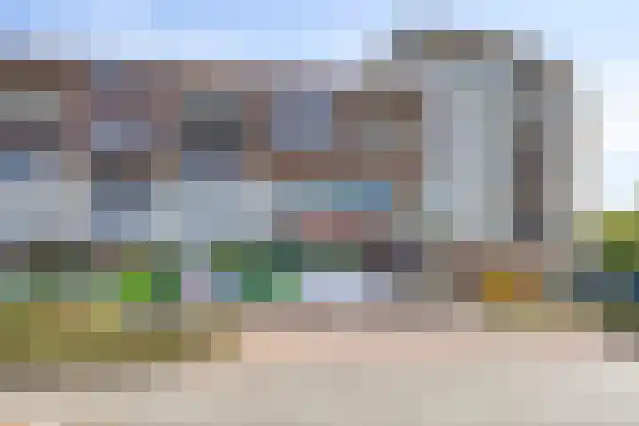 Hoenderhei 49 Best thumbnail 31