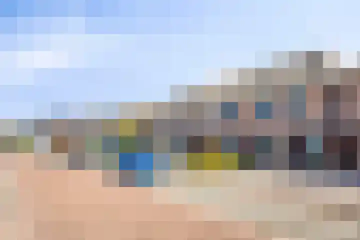 Hoenderhei 49 Best thumbnail 34