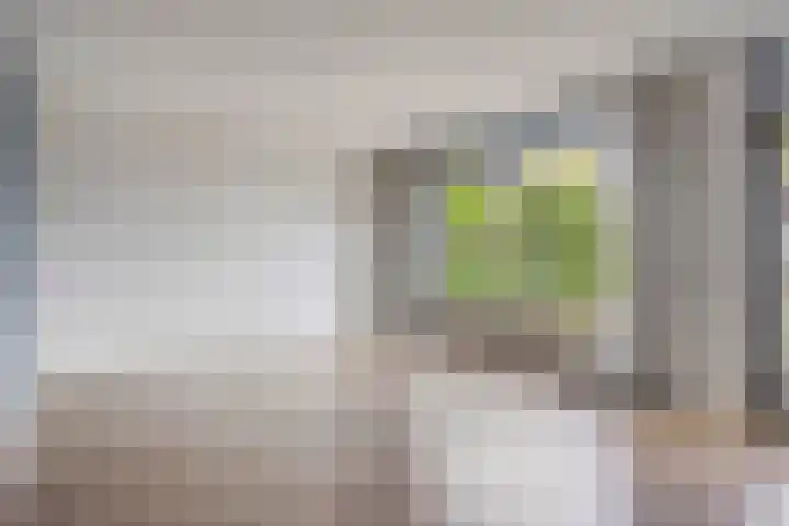 Hoenderhei 49 Best thumbnail 6