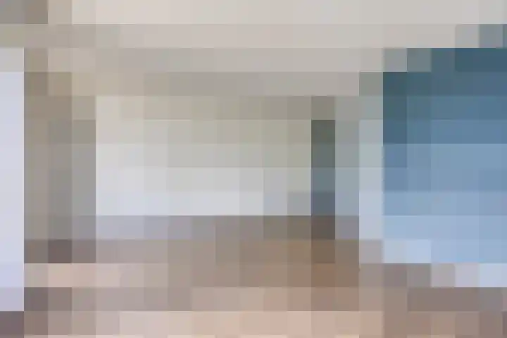 Hoenderhei 49 Best thumbnail 7