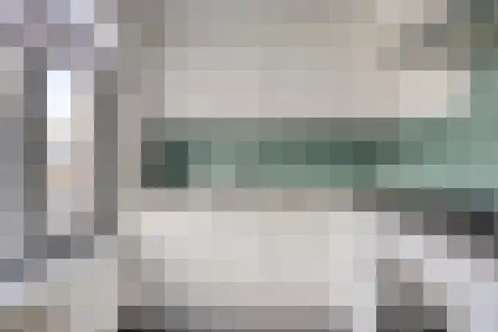 Hoenderhei 49 Best thumbnail 9