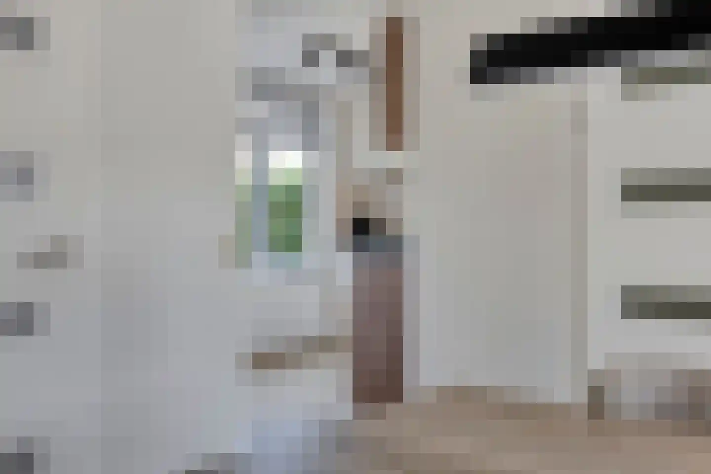 Hoenderhei 55 Best thumbnail 15