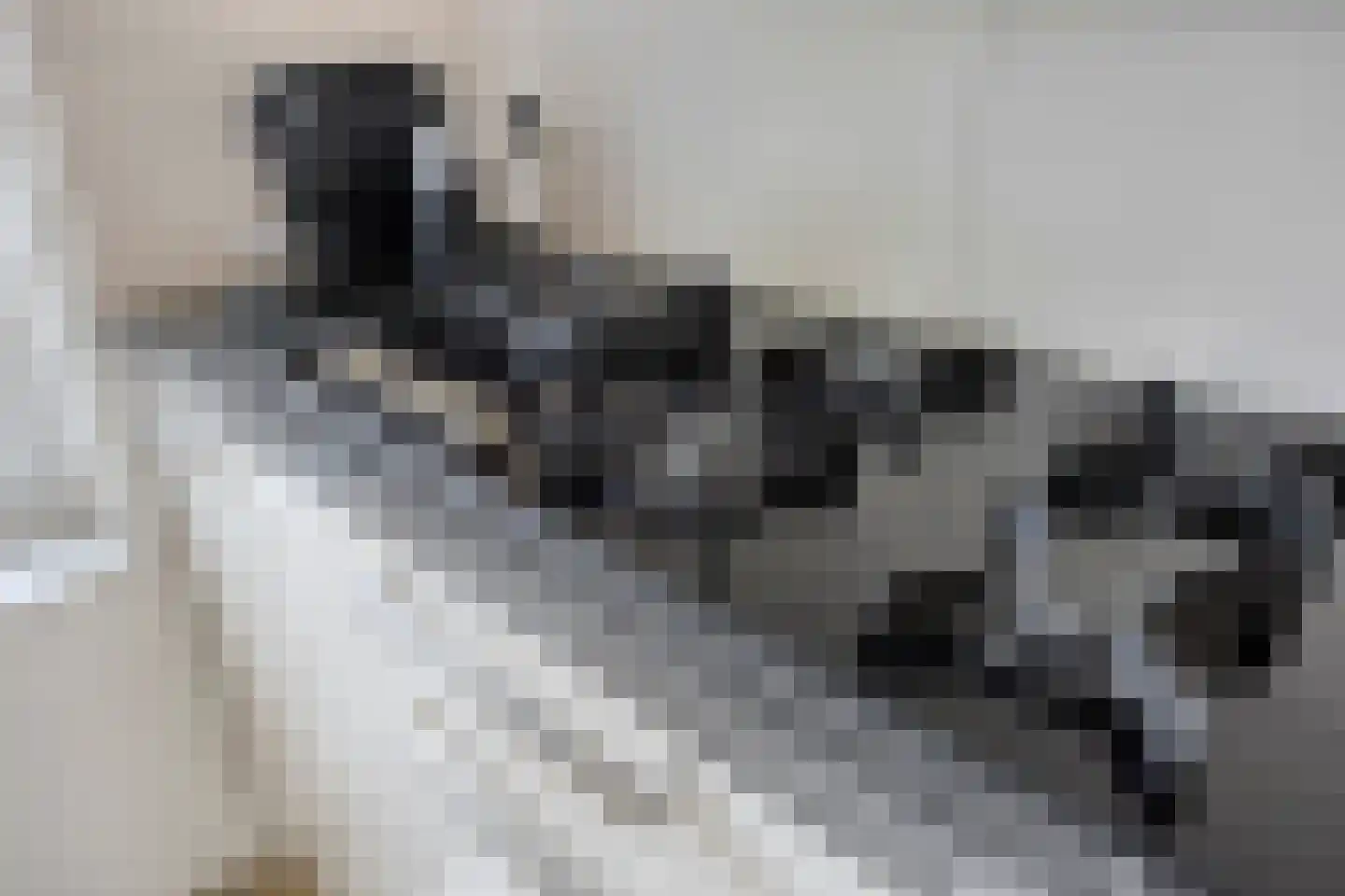 Hoenderhei 55 Best thumbnail 17