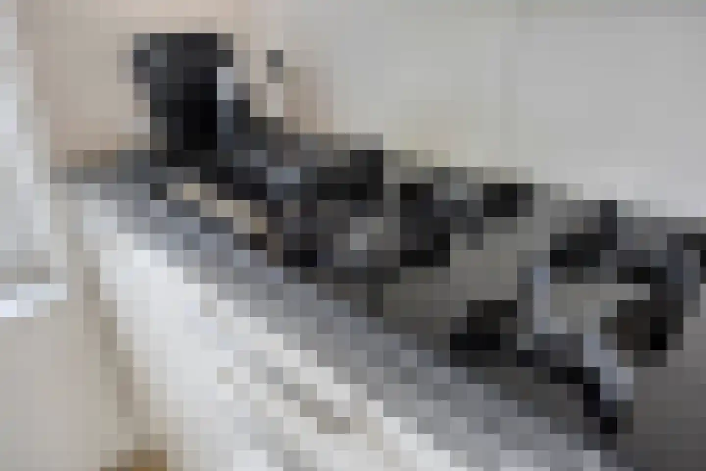 Hoenderhei 55 Best thumbnail 17