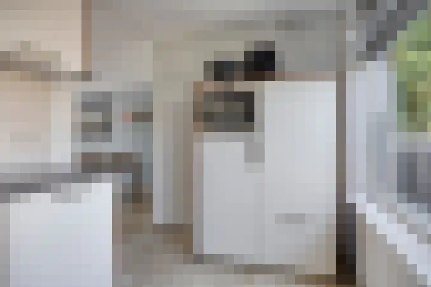 Hoenderhei 55 Best thumbnail 18
