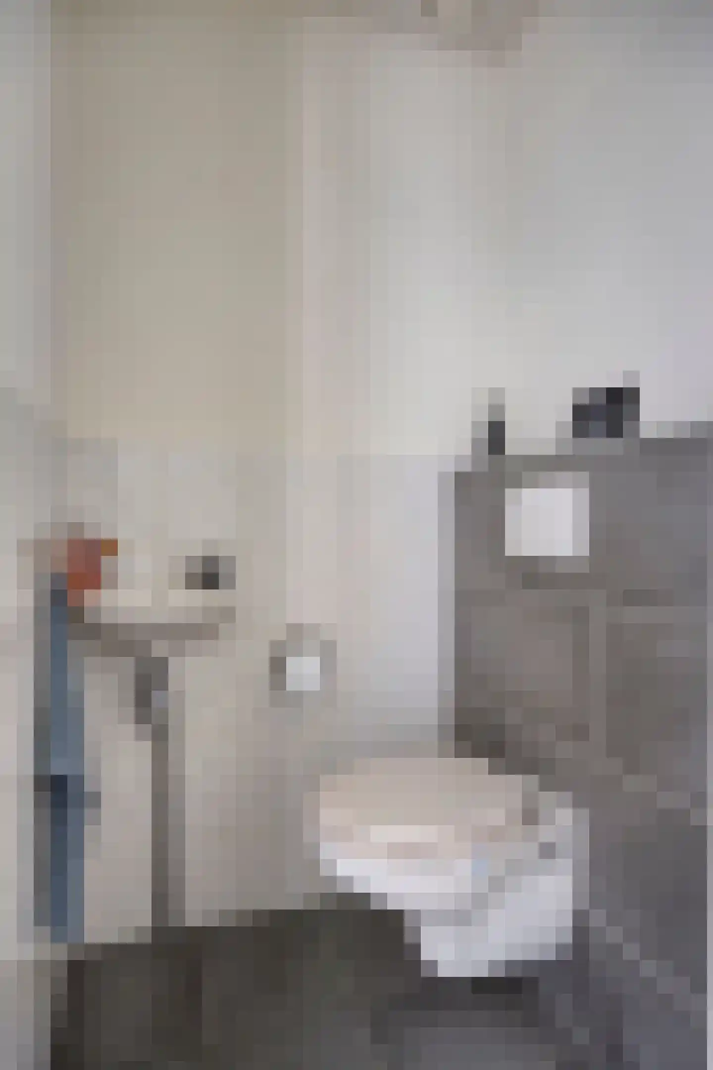Hoenderhei 55 Best thumbnail 21