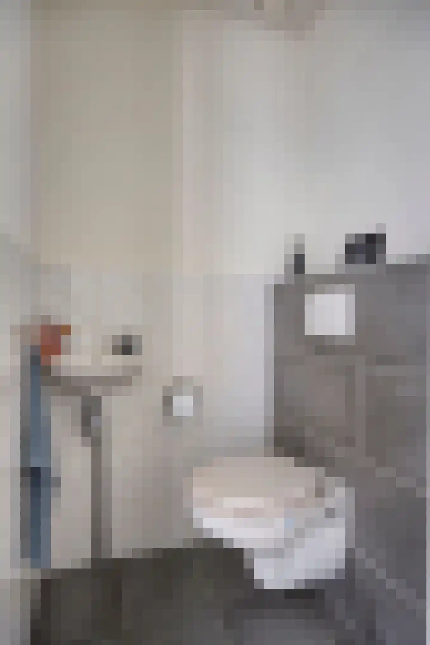 Hoenderhei 55 Best thumbnail 21