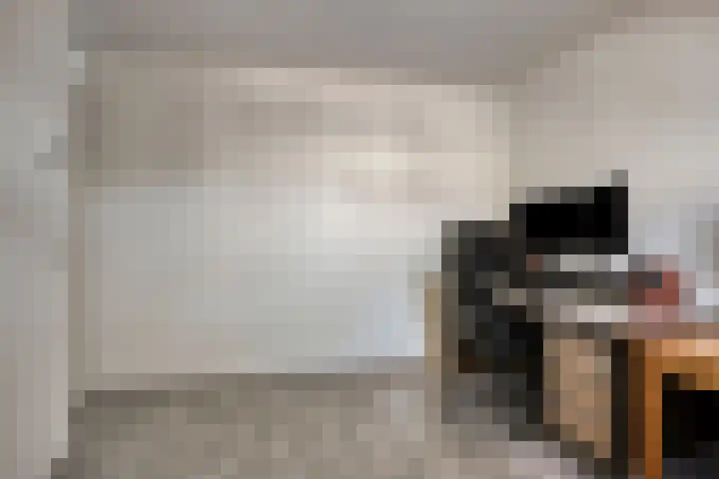 Hoenderhei 55 Best thumbnail 31