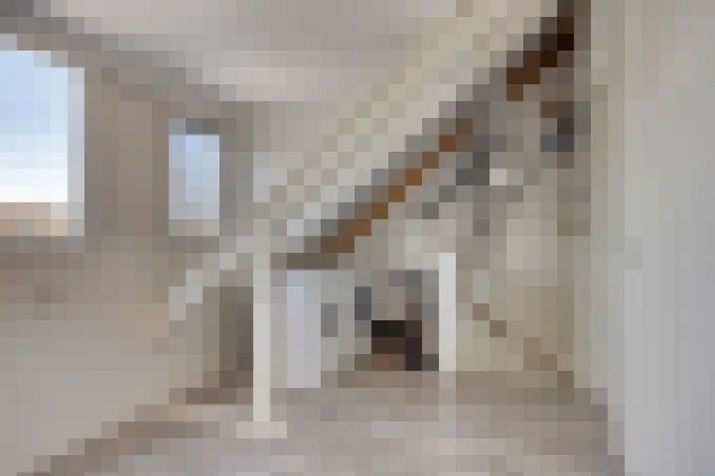 Hoenderhei 55 Best thumbnail 34