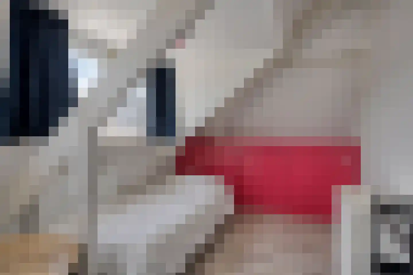 Hoenderhei 55 Best thumbnail 36