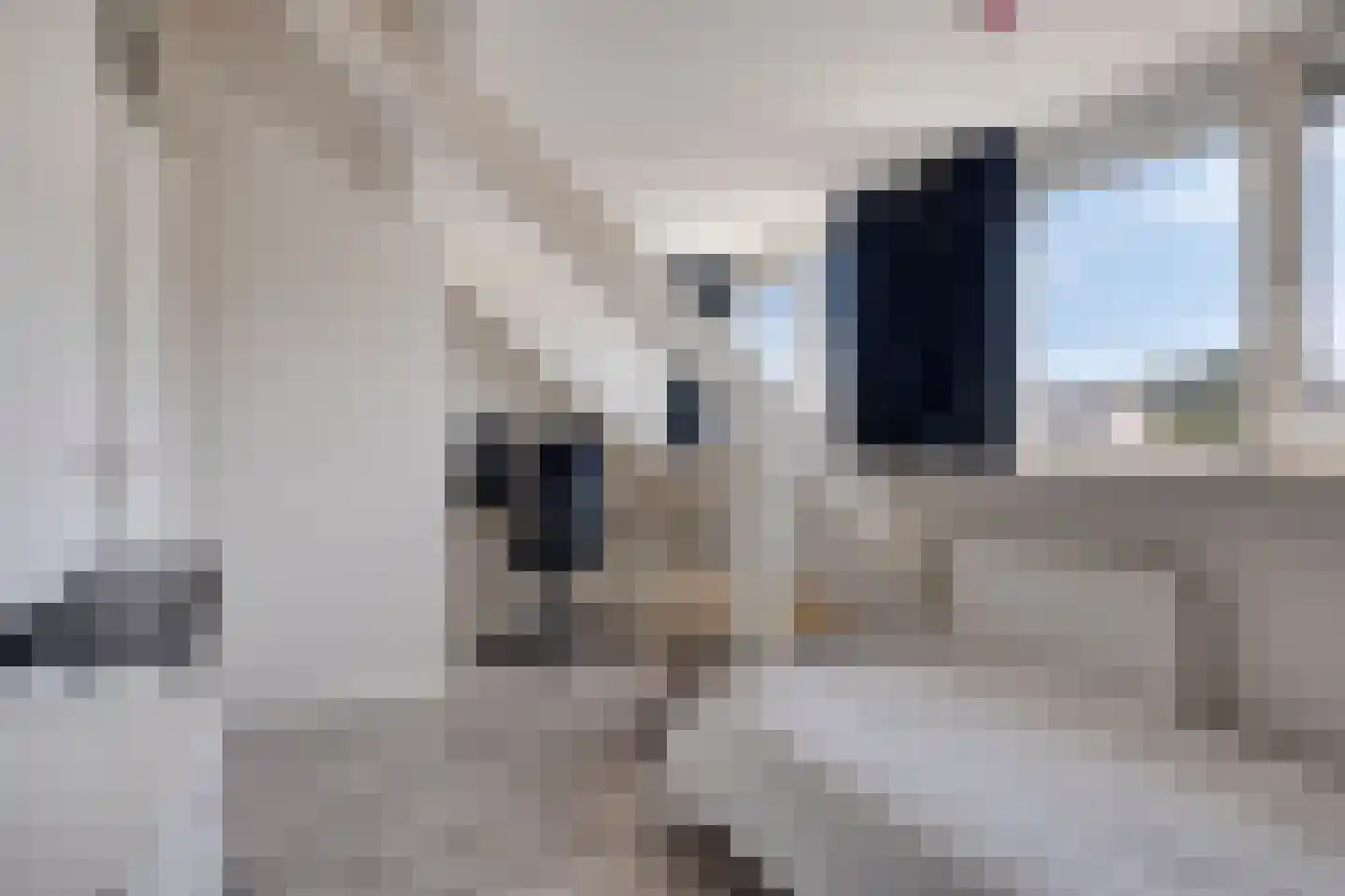 Hoenderhei 55 Best thumbnail 37
