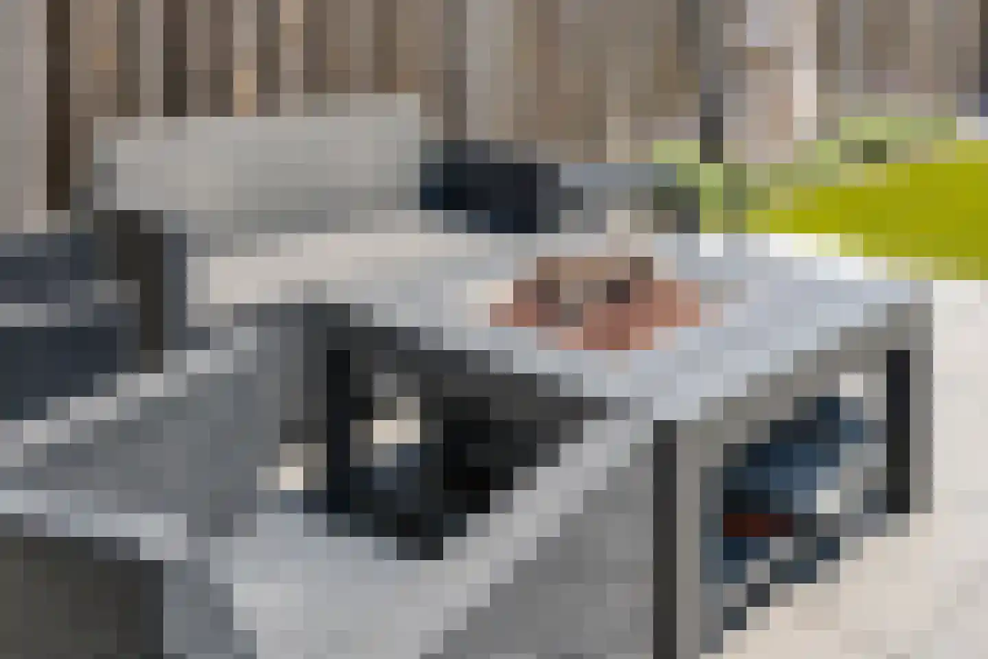 Hoenderhei 55 Best thumbnail 39