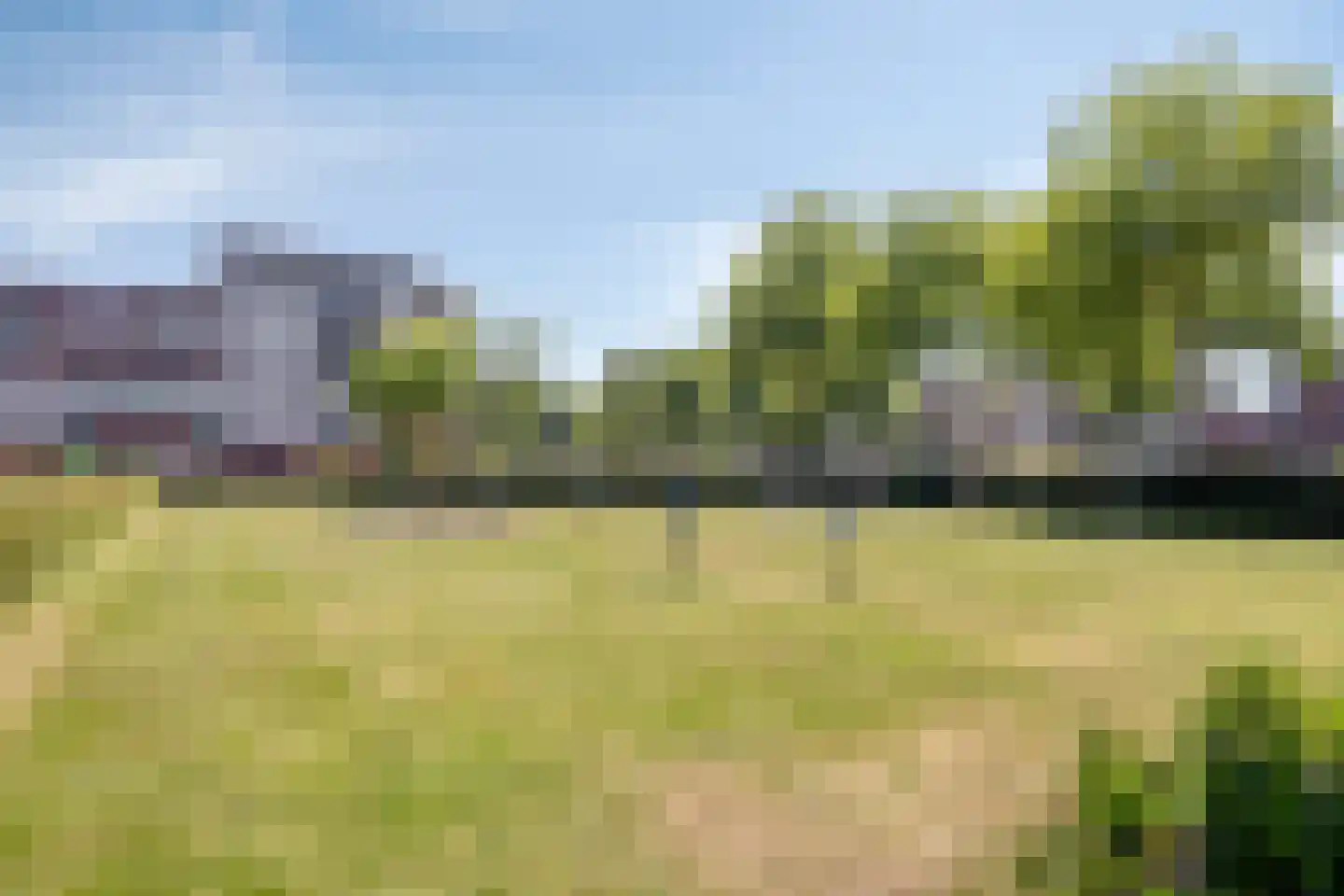 Hoenderhei 55 Best thumbnail 43
