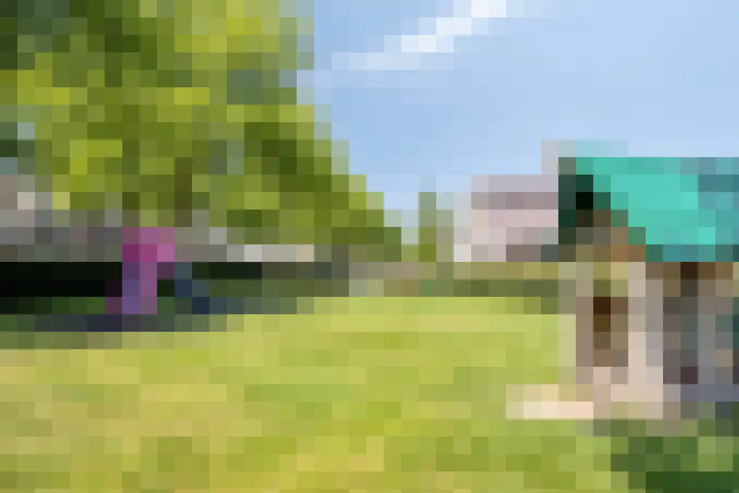 Hoenderhei 55 Best thumbnail 44