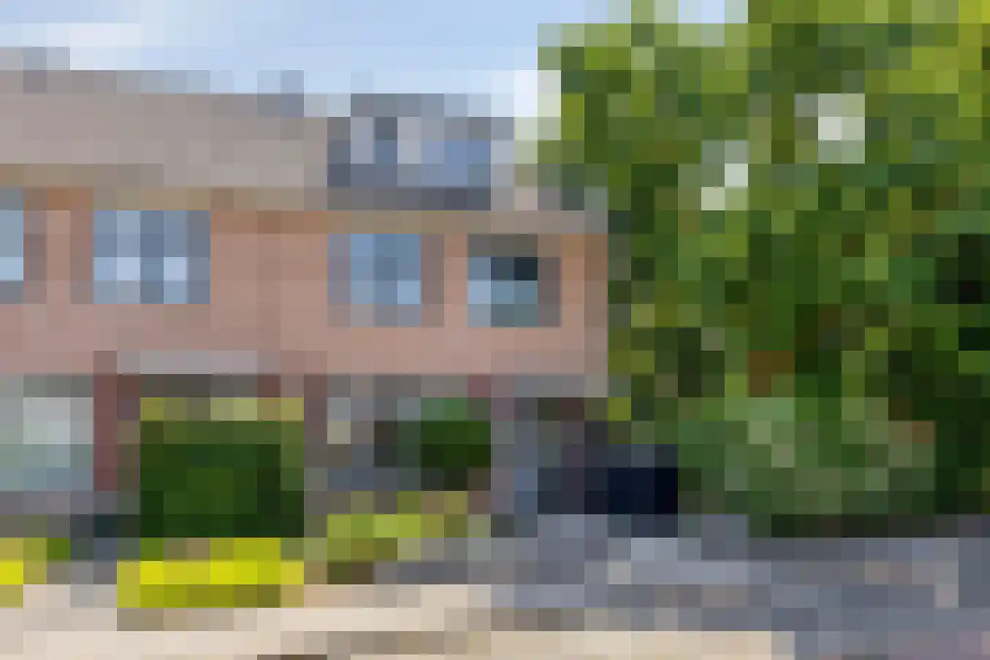 Hoenderhei 55 Best thumbnail 6