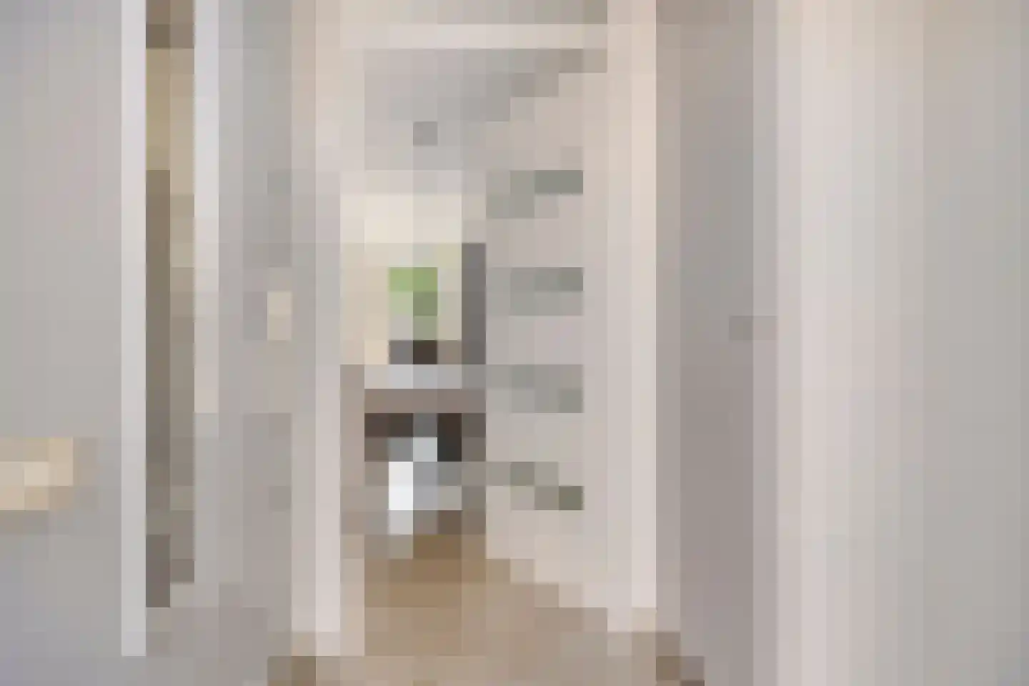 Hoenderhei 55 Best thumbnail 8