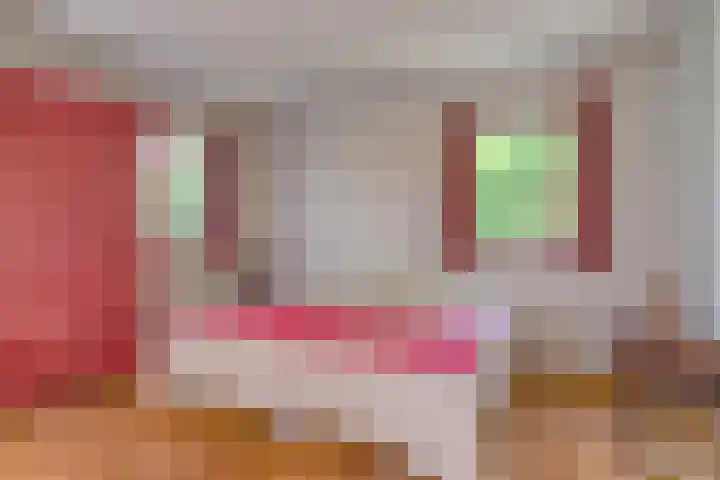 Hoenderhoek 2 Lage Mierde thumbnail 16