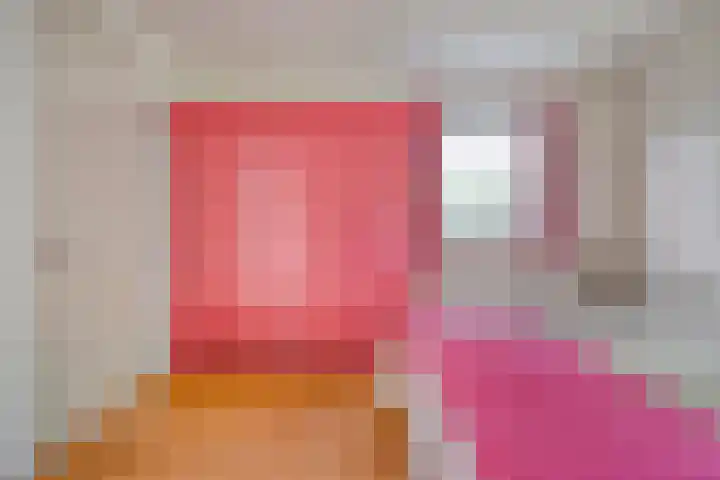 Hoenderhoek 2 Lage Mierde thumbnail 17