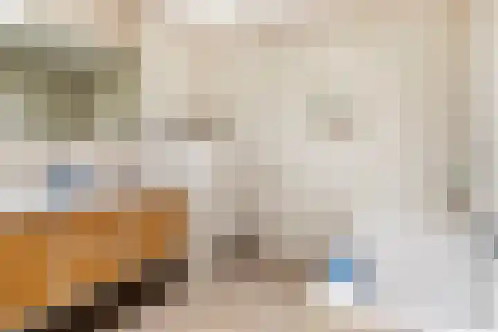 Hoenderhoek 2 Lage Mierde thumbnail 18