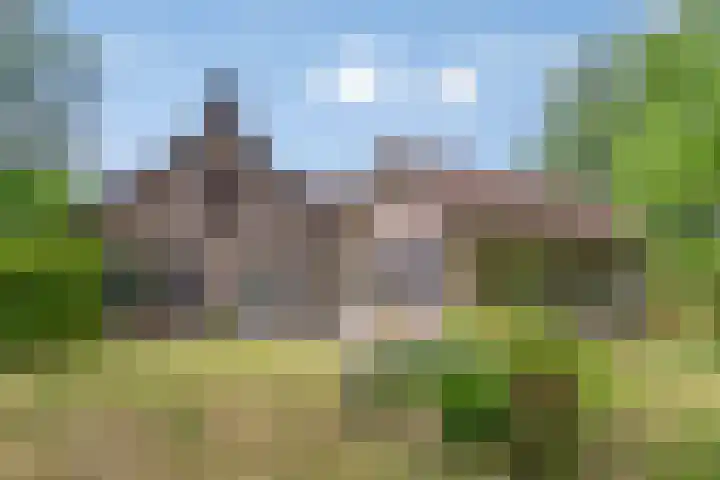 Hoenderhoek 2 Lage Mierde foto 2