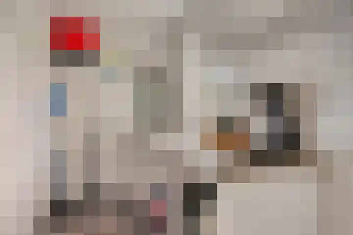 Hoenderhoek 2 Lage Mierde thumbnail 20