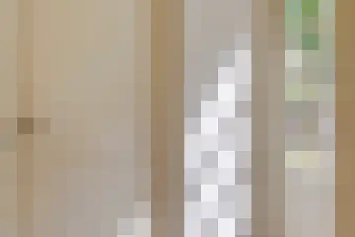 Hoenderhoek 2 Lage Mierde thumbnail 21