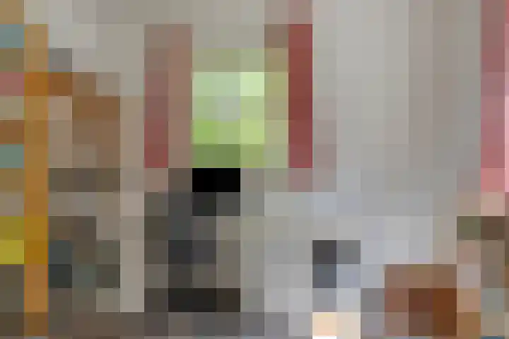 Hoenderhoek 2 Lage Mierde thumbnail 23