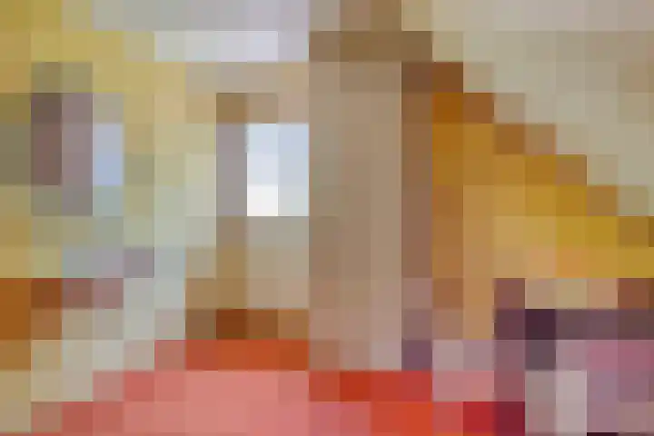 Hoenderhoek 2 Lage Mierde thumbnail 27