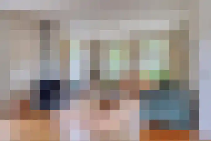 Hoenderhoek 2 Lage Mierde foto 3
