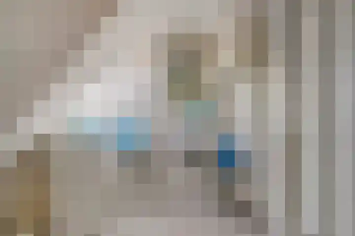 Hoenderhoek 2 Lage Mierde thumbnail 31