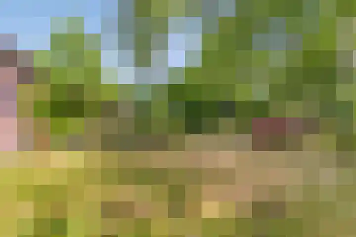Hoenderhoek 2 Lage Mierde thumbnail 33