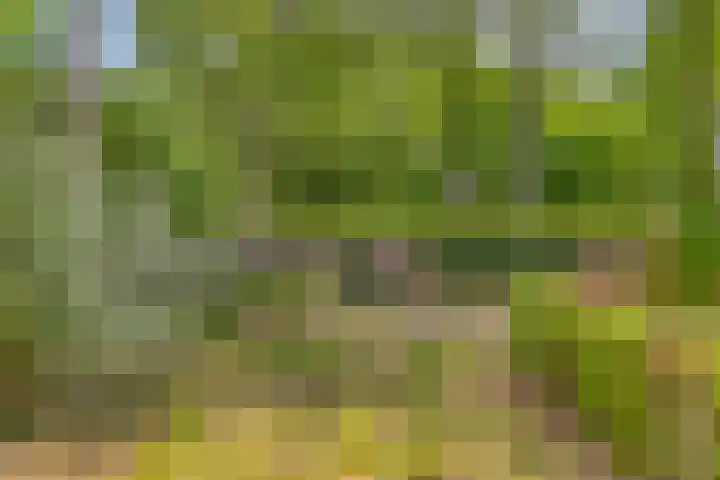 Hoenderhoek 2 Lage Mierde thumbnail 34
