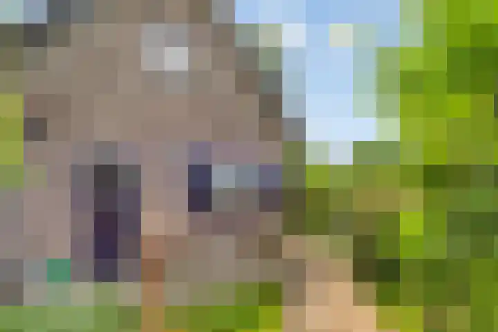 Hoenderhoek 2 Lage Mierde thumbnail 36