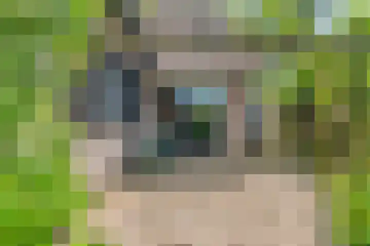 Hoenderhoek 2 Lage Mierde thumbnail 37