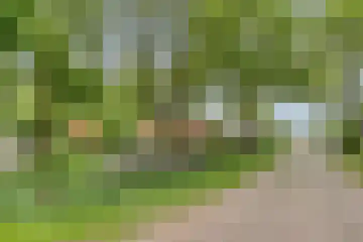 Hoenderhoek 2 Lage Mierde thumbnail 38