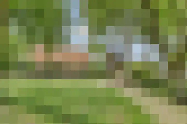 Hoenderhoek 2 Lage Mierde thumbnail 39