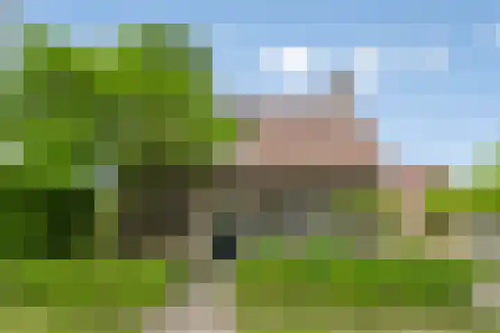 Hoenderhoek 2 Lage Mierde thumbnail 4