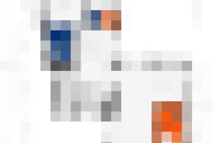 Hoenderhoek 2 Lage Mierde thumbnail 41