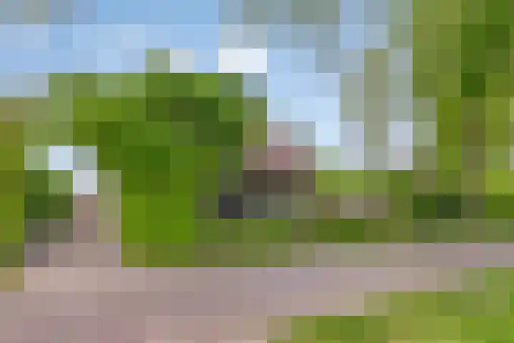Hoenderhoek 2 Lage Mierde thumbnail 5