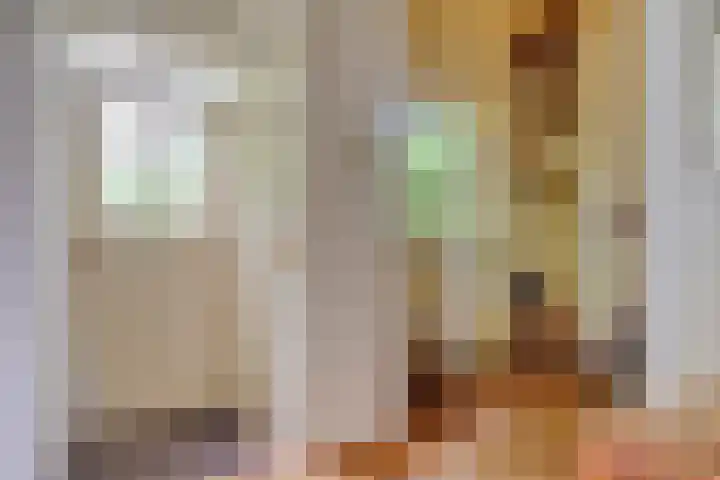Hoenderhoek 2 Lage Mierde thumbnail 6