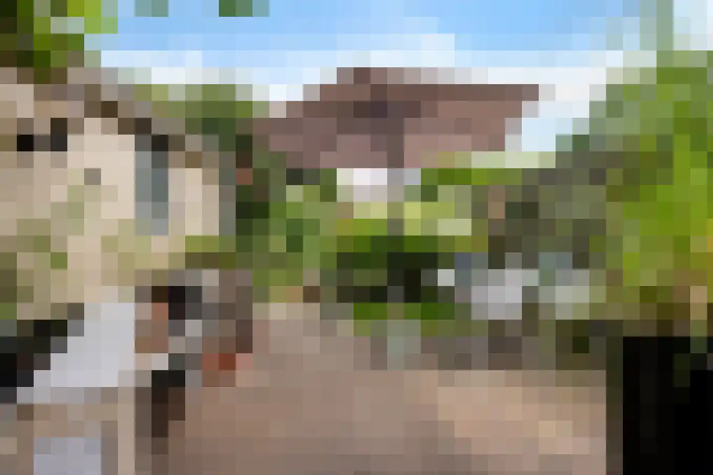 Hoenderhof 106 Delfzijl thumbnail 16