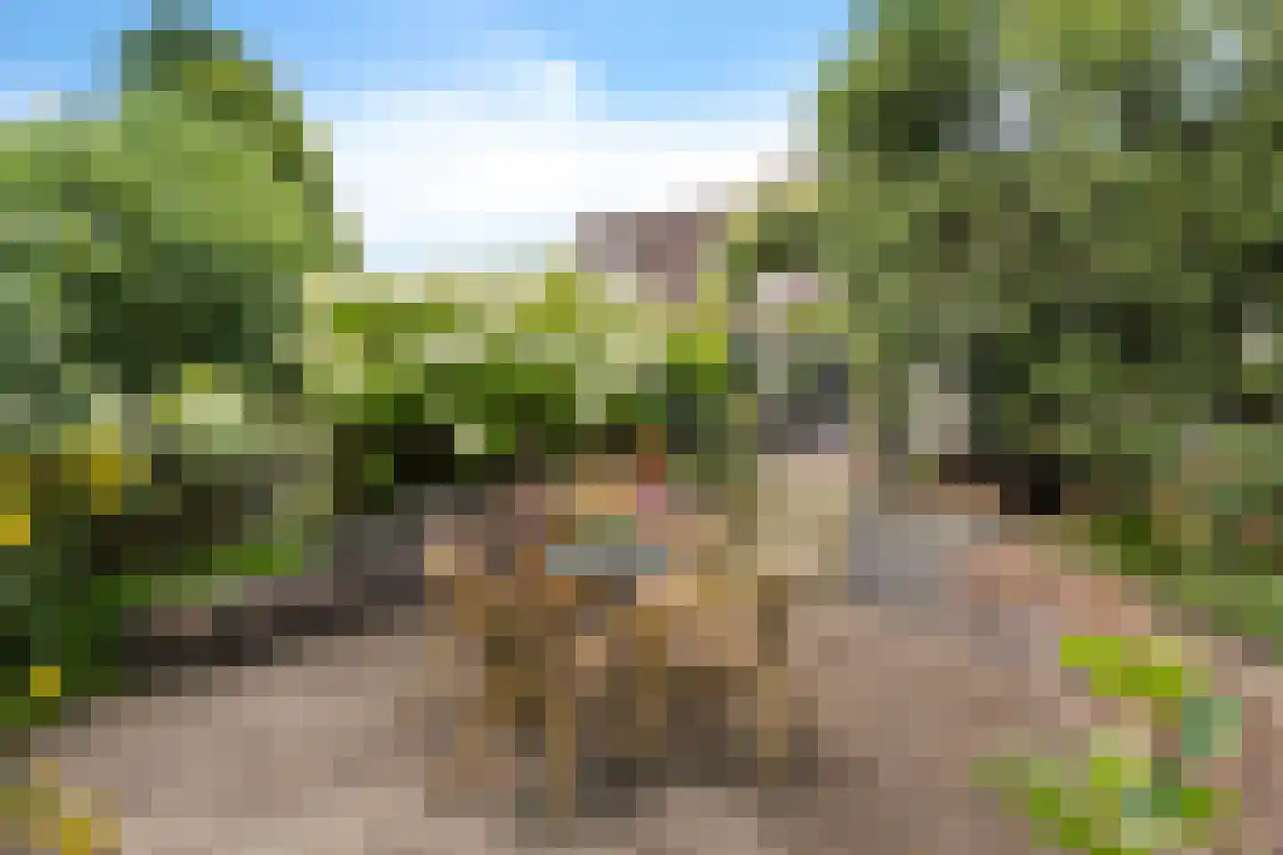 Hoenderhof 106 Delfzijl thumbnail 18