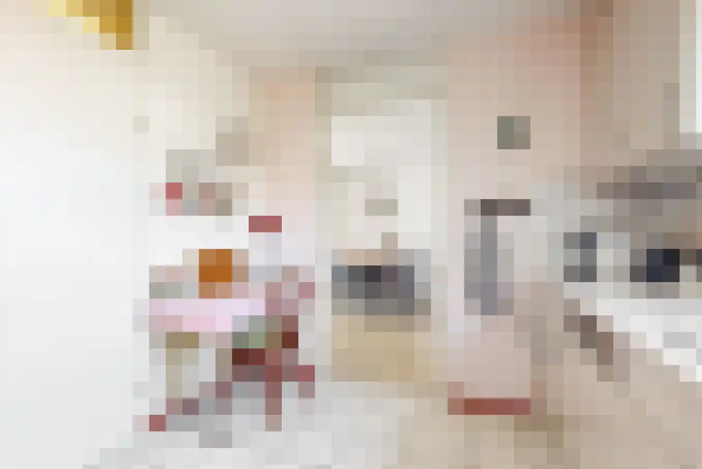 Hoenderkamp 32 Heteren thumbnail 10