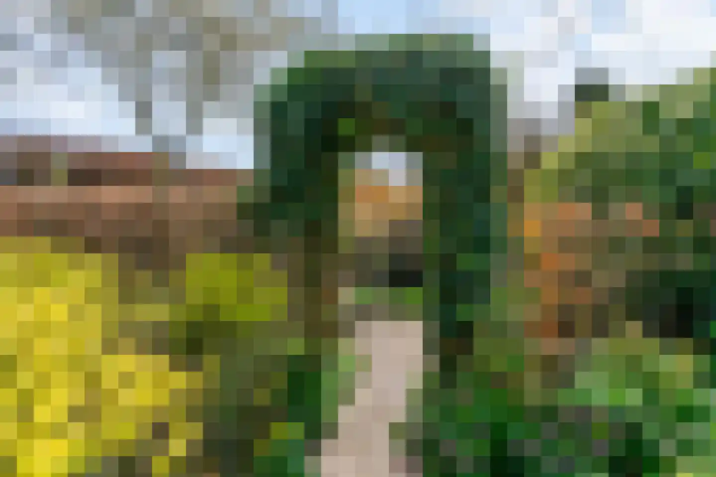 Hoenderkamp 32 Heteren thumbnail 31